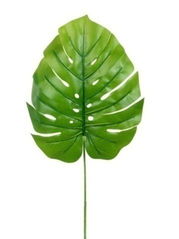 [AB491] RAMA MONSTERA VERDE CLARO - eCommerce 2