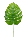 [AB491] RAMA MONSTERA VERDE CLARO - eCommerce 2