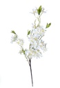 [AAE103] RAMA WHITE FLOWERS 100CM - eCommerce 2