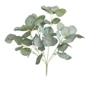 [AAA183.0] RAMO EUCALIPTO 45CM - eCommerce 2