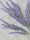 [AAC181.0] RAMO LAVANDA - eCommerce 2