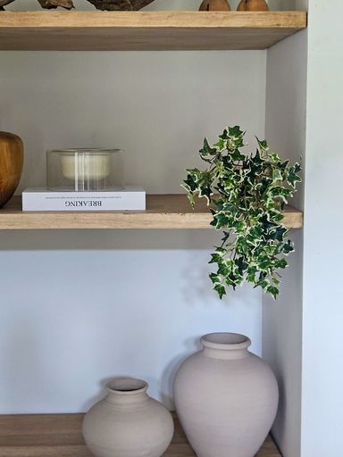 [AAH341] Rama English Ivy Bush 38cm - eCommerce 3