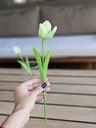 [AAB965.0] TULIPAN 33CM - eCommerce 2