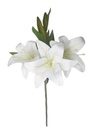 [AAF557] VARA DE TIGER LILY 58 CM - eCommerce 3