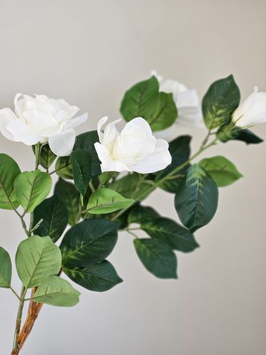 [AAG321] VARA GARDENIA 90 CM - eCommerce 3