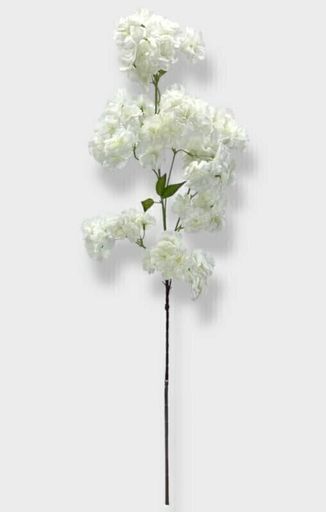 [AAG315] VARA SAKURA 100 CM - eCommerce 4