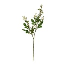 [AAB270.0] RAMA ROSAS ROCOCO BLANCAS - eCommerce 2