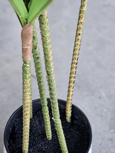 [AAI074] Planta Artificial Decorativa Palo de Agua 130 Cm - eCommerce 3