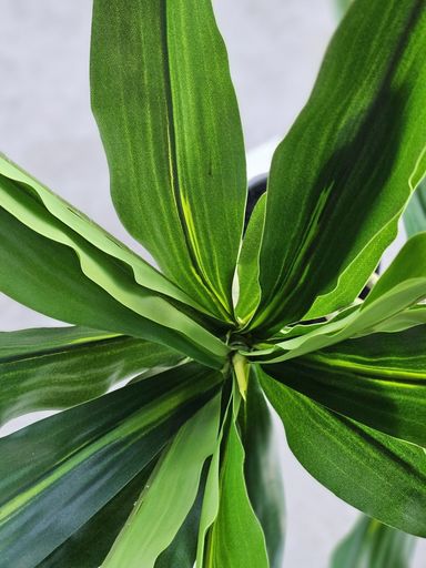 [AAI074] Planta Artificial Decorativa Palo de Agua 130 Cm - eCommerce 4
