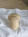 [AAI328] Salero Fungi - eCommerce 2