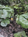 [AAI348] Pack x2 Farol de Jardin Campanita - eCommerce 3