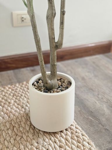 [AAI417] Planta Olivo 180cm con maceta - eCommerce 2