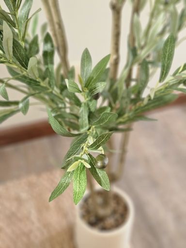 [AAI417] Planta Olivo 180cm con maceta - eCommerce 3