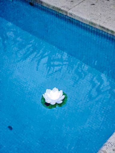 [AAI341] Flor de Loto Solar Flotante - eCommerce 3