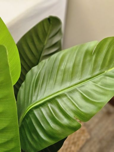 [AAI663] Planta Artificial Strelitzia nicolai 120cm - eCommerce 2