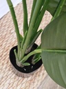 [AAI663] Planta Artificial Strelitzia nicolai 120cm - eCommerce 4