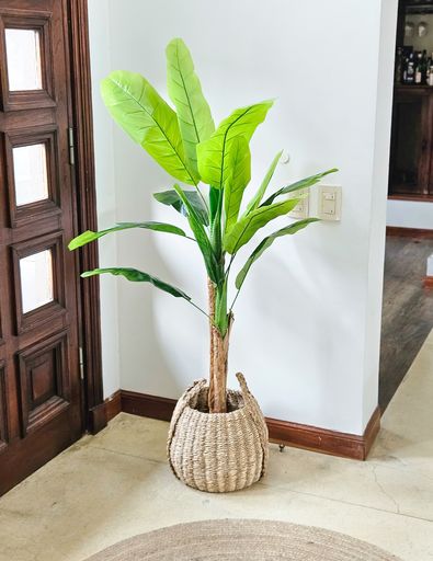 [AAI504] Planta artificial strelitzia 150 CM - eCommerce 2