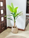 [AAI504] Planta artificial strelitzia 150 CM - eCommerce 2