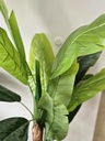 [AAI504] Planta artificial strelitzia 150 CM - eCommerce 3