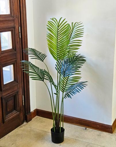 [AAI507] Planta Helecho 100cm - eCommerce 2