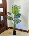 [AAI507] Planta Helecho 100cm - eCommerce 2