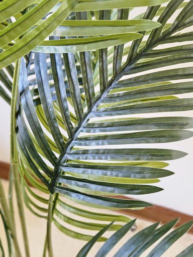 [AAI507] Planta Helecho 100cm - eCommerce 3