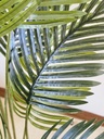 [AAI507] Planta Helecho 100cm - eCommerce 3
