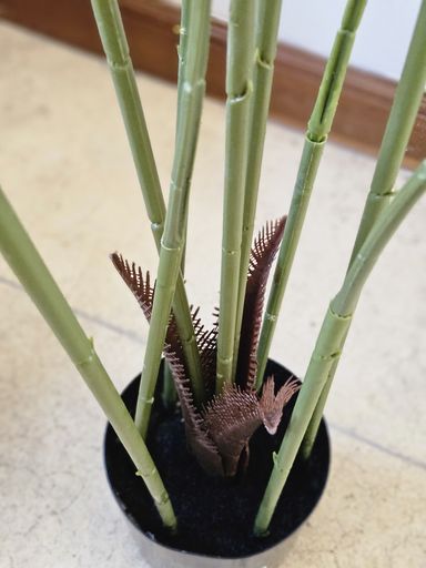 [AAI507] Planta Helecho 100cm - eCommerce 4