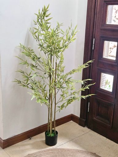 [AAI513] Planta Jamaica 150cm - eCommerce 2