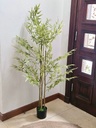 [AAI513] Planta Jamaica 150cm - eCommerce 2