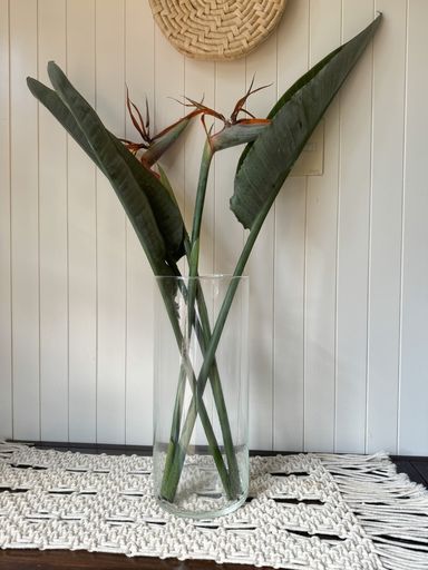 FLORERO EVA 17X30