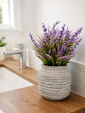 Lavanda en Maceta Piedra