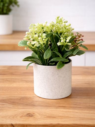 MACETA CON PLANTIN Y FRUTOS 15X18CM