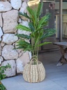 PALMERA CON MACETA 120 CM