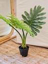 PLANTA ARTIFICIAL COSTILLA ADAN