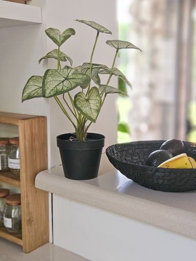 PLANTA ARTIFICIAL DECO 50CM PLANTA ARTIFICIAL DECO 40CM