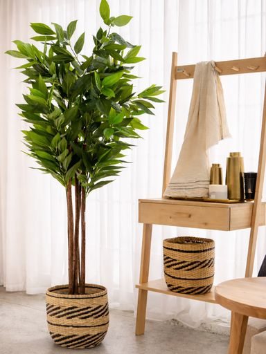 PLANTA ARTIFICIAL DRACENA 180CM