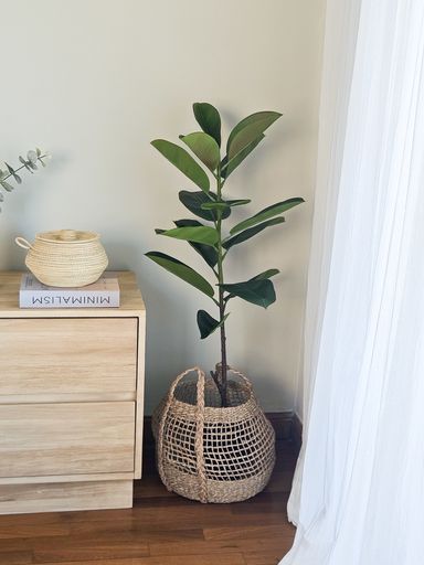 PLANTA ARTIFICIAL FICUS 120 cm