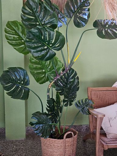 PLANTA ARTIFICIAL MONSTERA 155CM