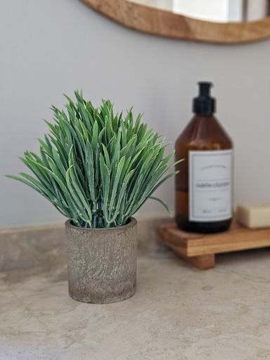 PLANTA CON MACETA 21 CM
