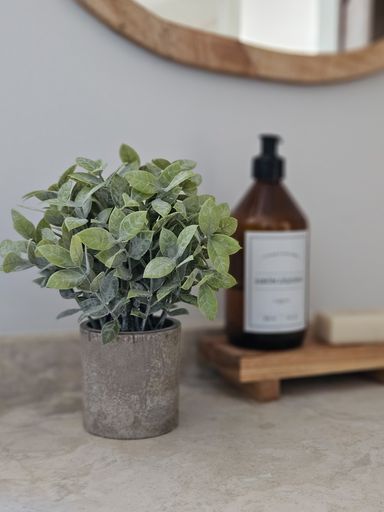 PLANTA CON MACETA 23CM