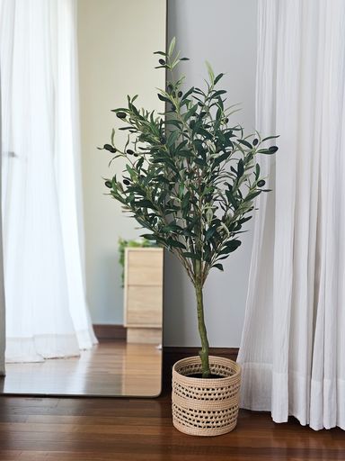 PLANTA OLIVO 100 CM