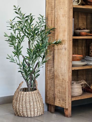 PLANTA OLIVO 130 CM