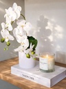 PLANTA ORQUIDEA 45 CM