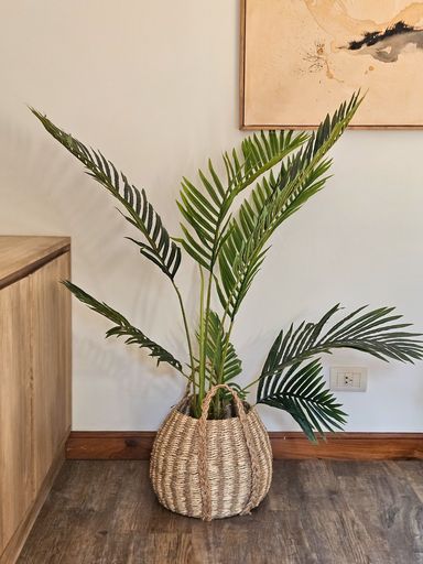 PLANTA PALMERA 110CM