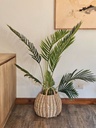 PLANTA PALMERA 140CM