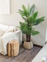 PLANTA PALMERA 150 CM
