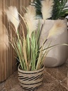 PLANTA PLUMERO 90CM