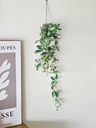 Planta Colgante 45cm