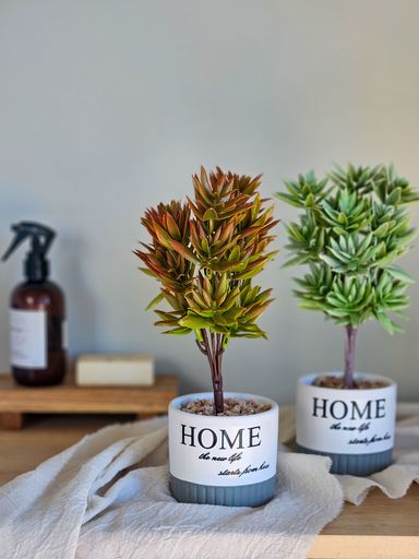 Planta Home Verde